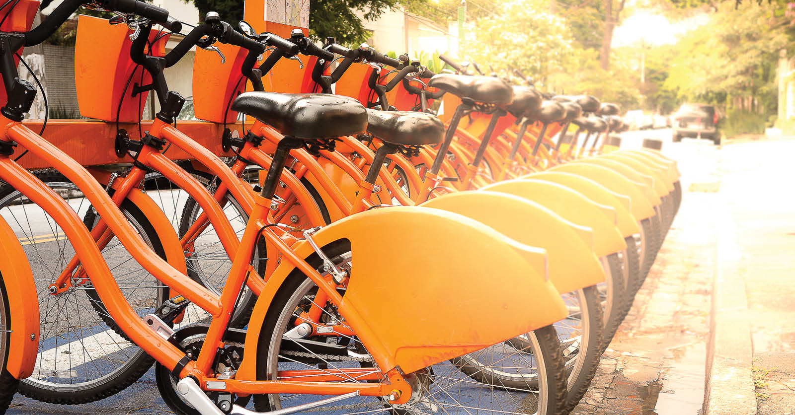 Orange bicycles_sustainability